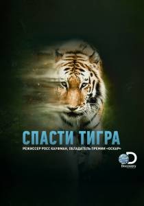 Спасти тигра Спасти тигра