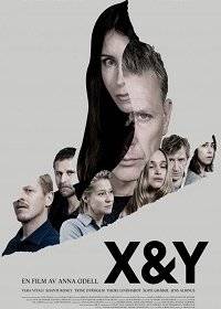 X и Y X и Y