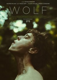  / Wolf