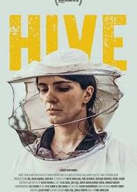  / Hive