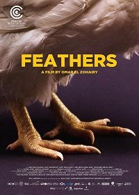  / Feathers