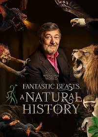  :   / Fantastic Beasts: A Natural History