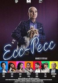 �����-������ / ECC-PECC