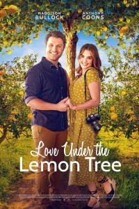    / Love Under the Lemon Tree
