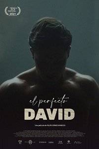   / El perfecto David