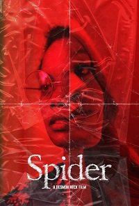  / Spider