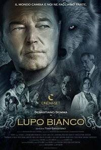   / Lupo Bianco