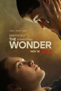 / The Wonder