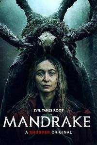 Мандрагора / Mandrake Мандрагора / Mandrake