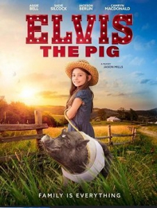   / Elvis the Pig