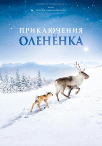   / Ailo: Une odyssee en Laponie / A Reindeer's Journey