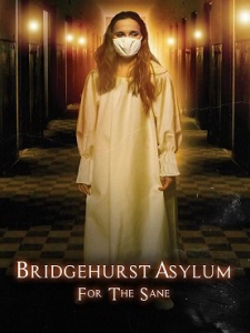:    / Bridgehurst Asylum for the Sane