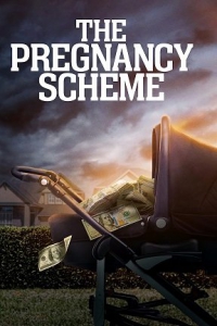   / The Pregnancy Scheme