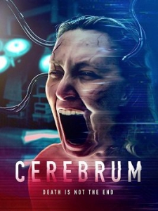  / Cerebrum