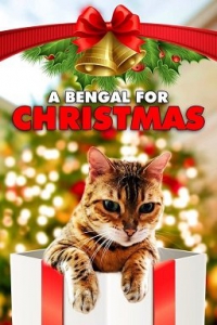     / A Bengal for Christmas