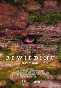 К истокам / Rewilding К истокам / Rewilding