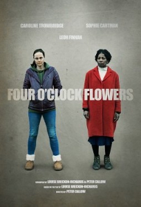     / Four O'Clock Flowers