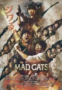   /   / Mad Cats