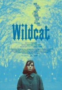 Дикая кошка / Wildcat Дикая кошка / Wildcat