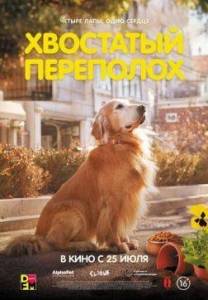 Хвостатый переполох / Dog Days / Dogeu deijeu Хвостатый переполох / Dog Days / Dogeu deijeu