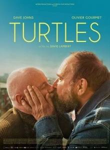 Черепахи / Les tortues / Turtles Черепахи / Les tortues / Turtles