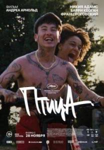 Птица / Bird Птица / Bird