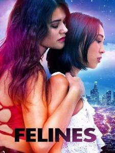 Кошечки / Felines Кошечки / Felines