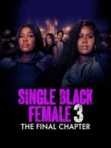 Одинокая темнокожая женщина: Последняя глава / Single Black Female 3: The Final Chapter Одинокая темнокожая женщина: Последняя глава / Single Black Female 3: The Final Chapter