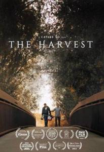 ������ / The Harvest