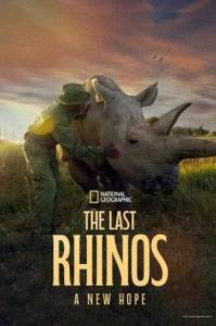 ��������� ��������: ����� ������� / The Last Rhinos: A New Hope