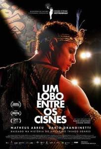 ���� ����� ������� / Um Lobo Entre os Cisnes / A Wolf Among the Swans