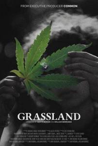 ����� / Grassland