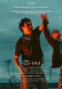 �������� / Urchin