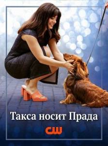 ���� � ������ / Paws in the City / Dachshund Wears Prada