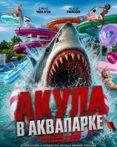 ����� � ��������� / Water Park Shark