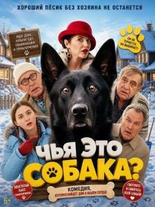 ��� ��� ������? / Not My Dog