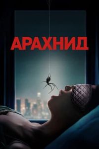 ������� / Crawlers
